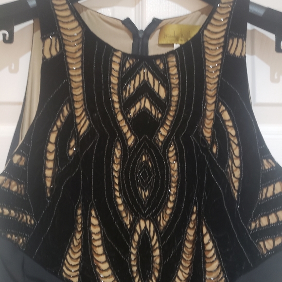 Black Velvet and Lace Gown - Picture 2 of 4